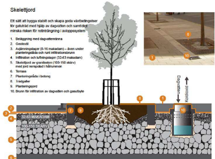 Exempel på uppbyggnad av skelettjord (Örjan Ståls föredrag ”Träd och dagvatten” på Rörnätskonferensen i Malmö 1-2 april 2014).